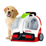 RugDoctor Pet Portable Spot Cleaner