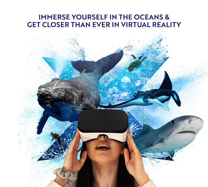 Lets Explore Oceans Smartphone-based head mounted display 1.84 kg Black, White