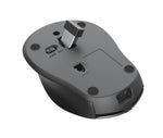 Trust Zaya mouse Office Ambidextrous RF Wireless Optical 1600 DPI